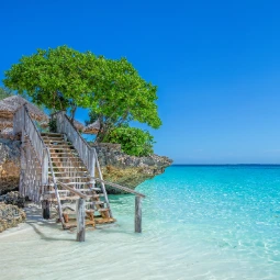 Wooden Stairs on a Beach